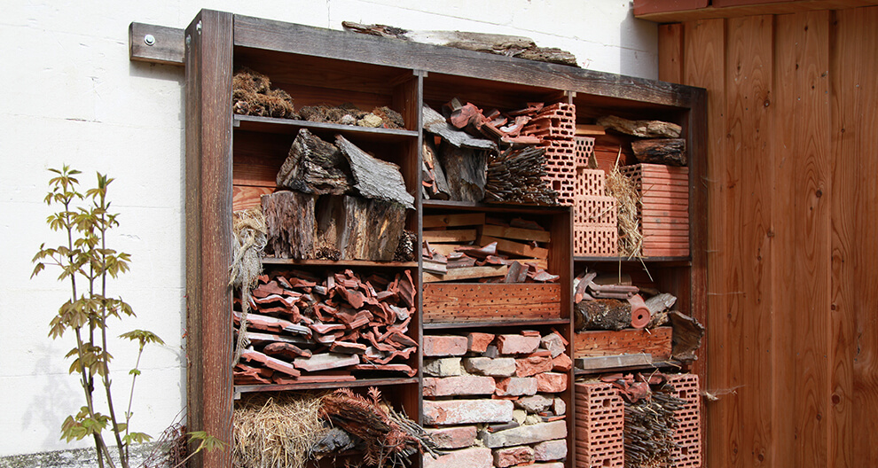 A wooden shelf filled with assorted natural materials, placed against a white wall and a wooden fence.