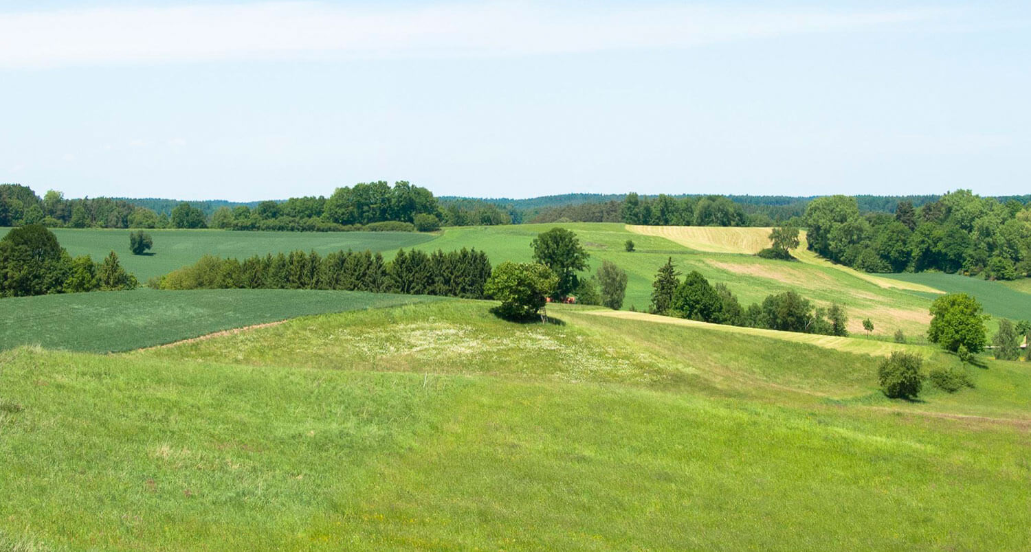 A verdant landscape with rolling hills, cultivated fields, and a solitary tree.