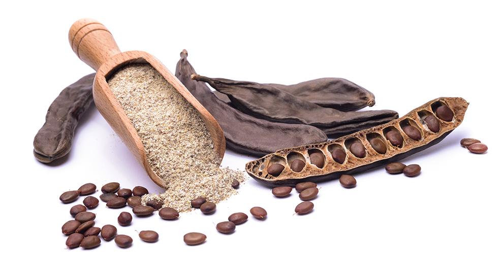 A wooden scoop filled with a grainy substance is placed next to dried carob pods and seeds.